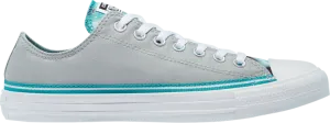 Converse Chuck Taylor All Star Low Summer Daze Sneakers - Ash Stone, Gray