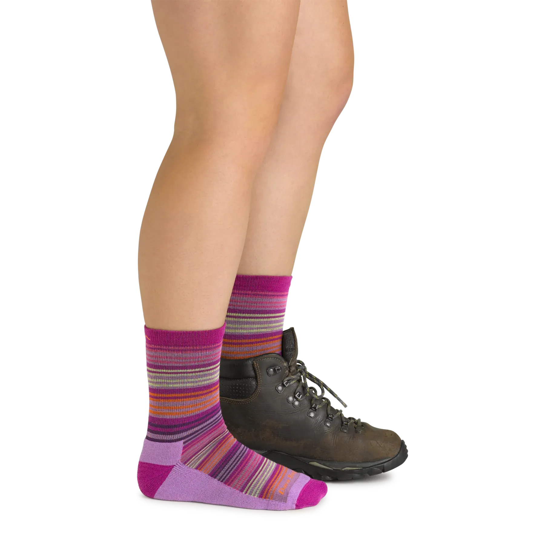 Darn Tough Clover Zebra Canyon Micro Crew Light Sock