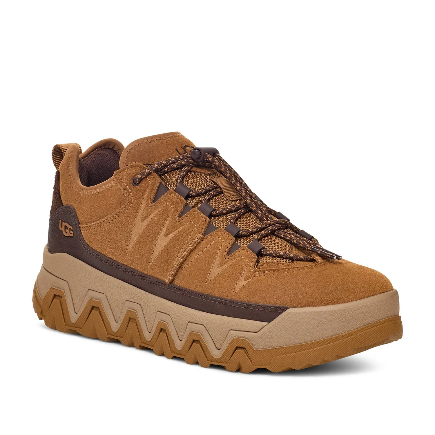 UGG Men's Captrail Low in Chestnut